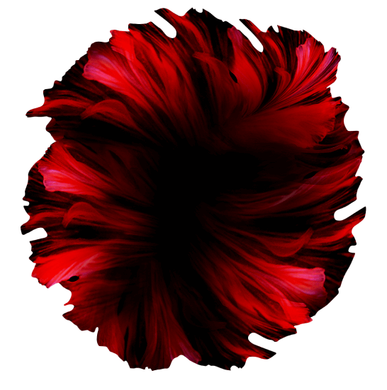 flower apple2