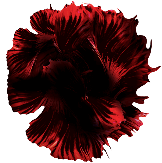 flower mexican