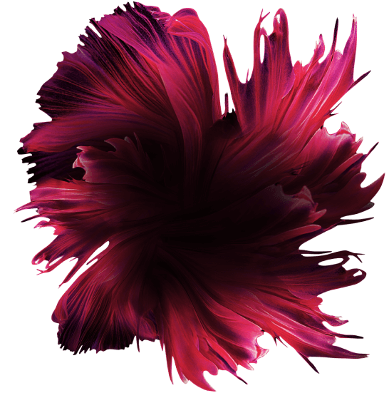 flower multifruit